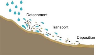 Photo 1: Splash erosion